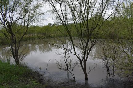 Land in Willacy County, Texas