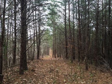 Land in Murray County, Georgia