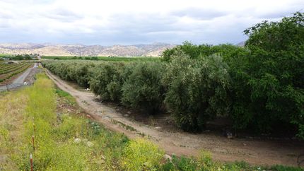 Land in Tulare County, California