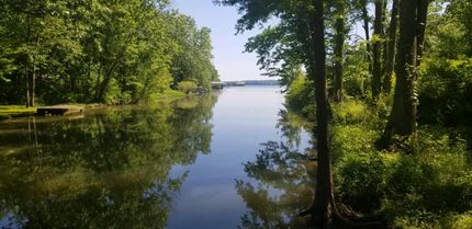 Undeveloped Land in Limestone County, Alabama