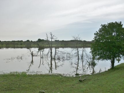Recreational Property in Clay County, Texas