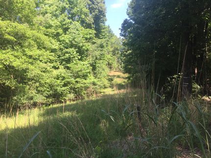Timberland Property in Hinds County, Mississippi