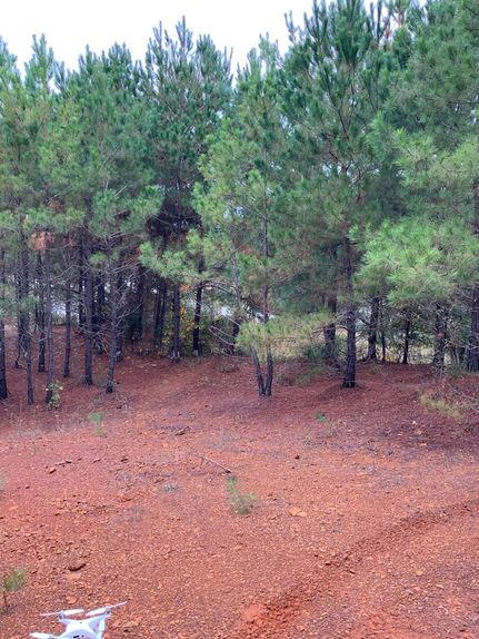Recreational Property in Morris County, Texas