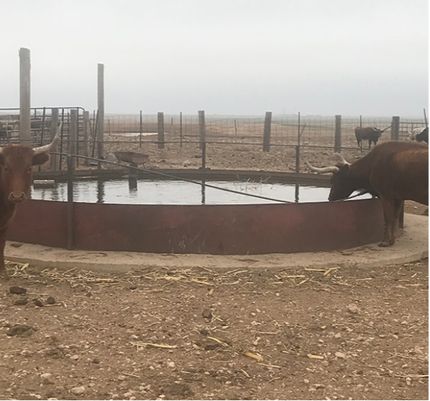 Farm and Ranch in Moore County, Texas