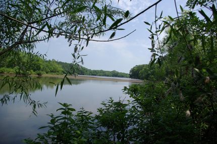 Timberland Property in Fairfield County, South Carolina