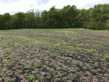 Land in Rice County, Minnesota