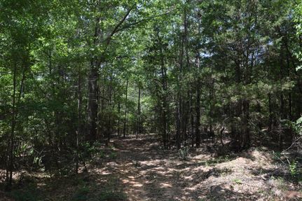 Farm and Ranch in Taylor County, Georgia
