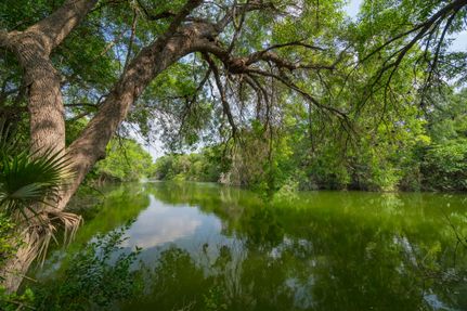 Farm and Ranch in Dimmit County, Texas