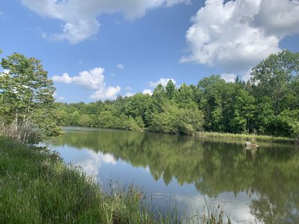 Hunting Property in Perry County, Alabama