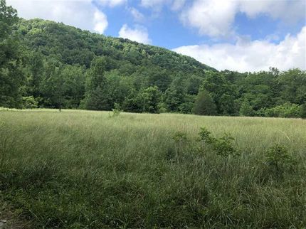 Timberland Property in Madison County, Arkansas