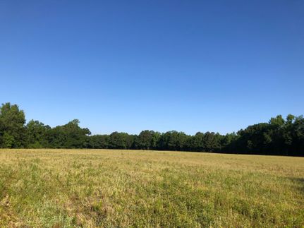 Undeveloped Land in Orangeburg County, South Carolina