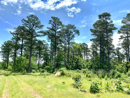 Undeveloped Land in Pushmataha County, Oklahoma
