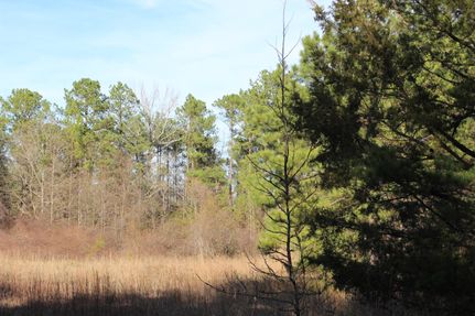 Farm and Ranch in Macon County, Alabama