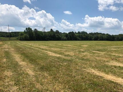 Undeveloped Land in Walker County, Georgia