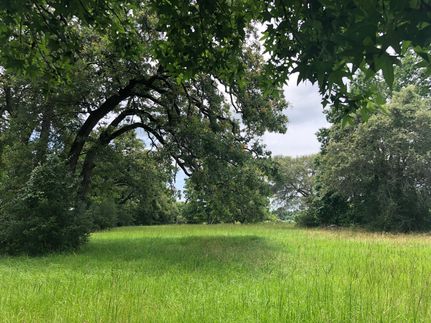 Recreational Property in Leon County, Texas