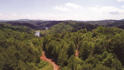 Undeveloped Land in Grayson County, Virginia