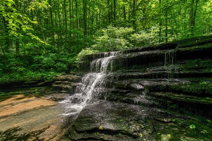 Farm and Ranch in Williamson County, Tennessee
