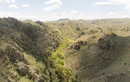 Undeveloped Land in Albany County, Wyoming