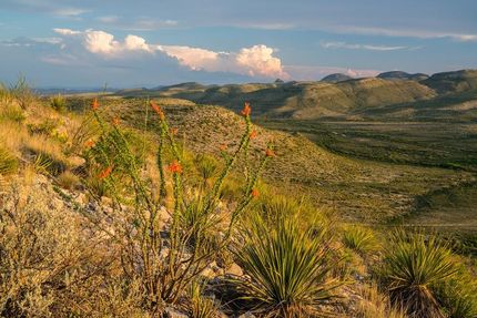 Farm and Ranch in Brewster County, Texas