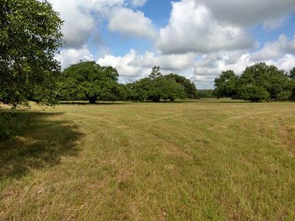 Undeveloped Land in Austin County, Texas