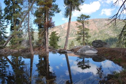 Farm and Ranch in Nevada County, California