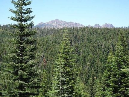 Recreational Property in Sierra County, California