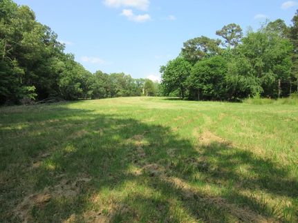 Lakefront Property in Decatur County, Tennessee