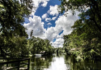 Hunting Property in Gilchrist County, Florida