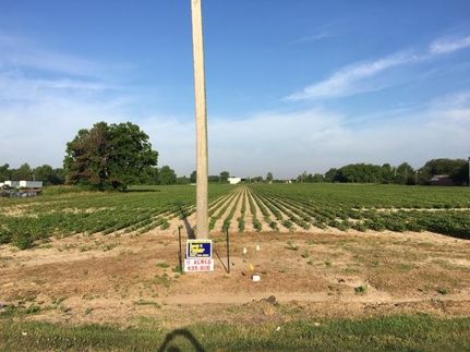 Timberland Property in Washington County, Mississippi