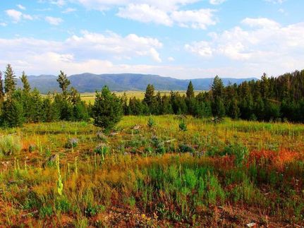 Timberland Property in Jefferson County, Montana