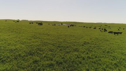 Hunting Property in Roberts County, South Dakota