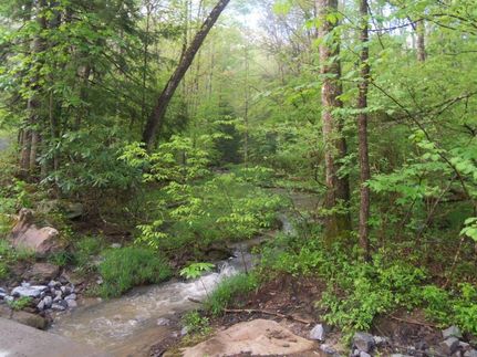 Hunting Property in Mercer County, West Virginia