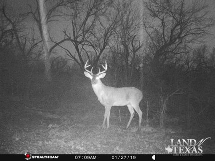 Undeveloped Land in Frio County, Texas