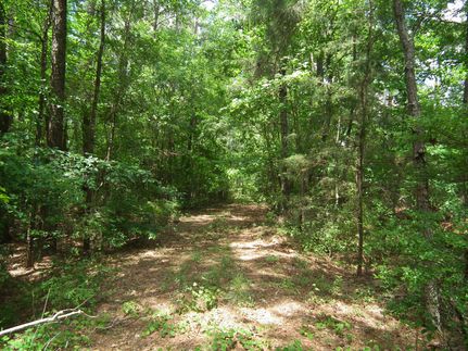 Farm and Ranch in Simpson County, Mississippi