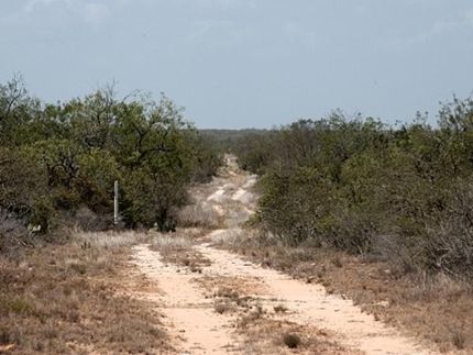 Timberland Property in Duval County, Texas