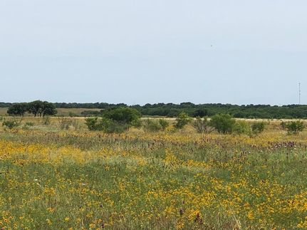 Undeveloped Land in Brown County, Texas