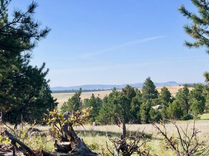 Recreational Property in Custer County, South Dakota