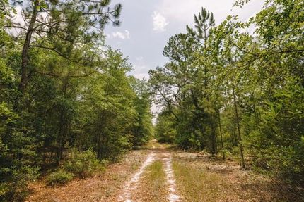 Recreational Property in Emanuel County, Georgia