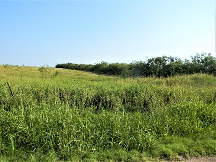 Farm and Ranch in Taylor County, Texas