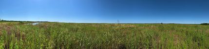Undeveloped Land in Taylor County, Texas