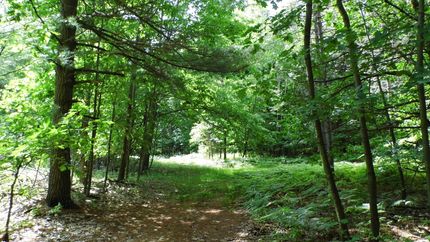 Recreational Property in Gratiot County, Michigan