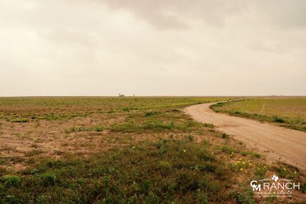 Land in Martin County, Texas
