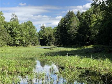 Commercial Property in Oneida County, New York