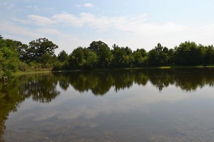 Horse Property in Dodge County, Georgia