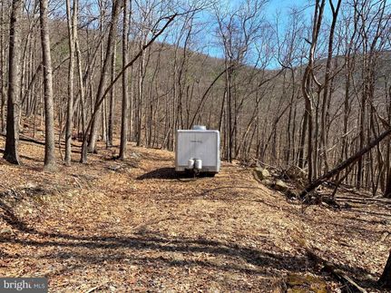 Undeveloped Land in Hardy County, West Virginia
