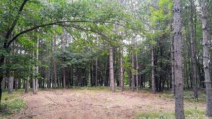 Hunting Property in Burnett County, Wisconsin