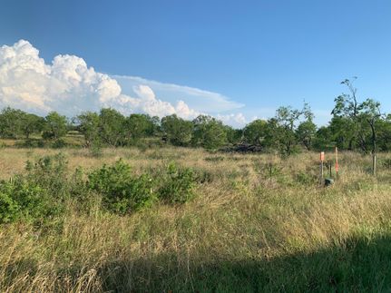 Undeveloped Land in Wilson County, Texas
