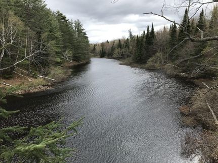 Undeveloped Land in Franklin County, New York