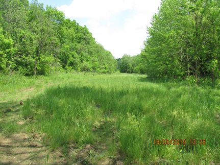 Farm and Ranch in Nicholas County, Kentucky
