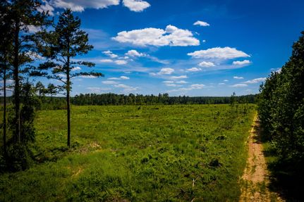 Undeveloped Land in Houston County, Texas